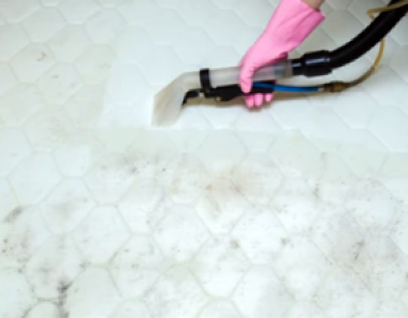 Limpeza Colchões a Seco ERL Norte - Limpeza e Higienização de Colchão